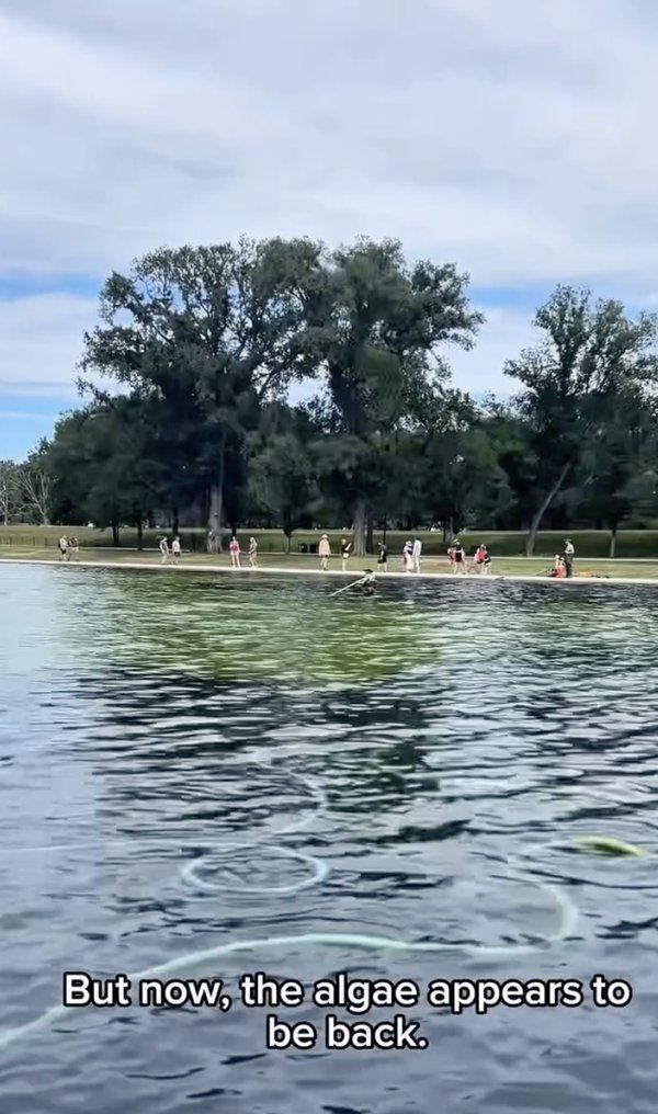 Reflecting Pool Update