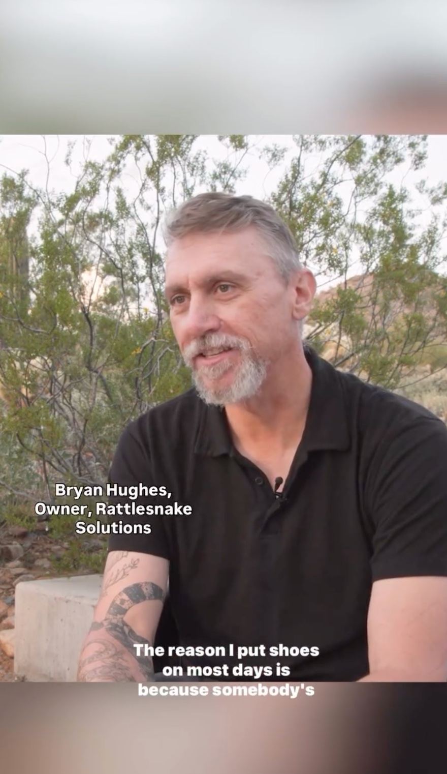Rattlesnake Solutions in Phoenix